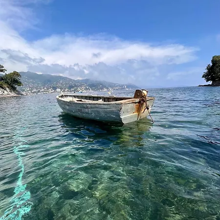 Ladidi Rapallo