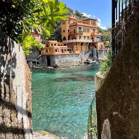 Ladidi Rapallo