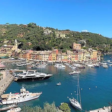 Ladidi 라팔로