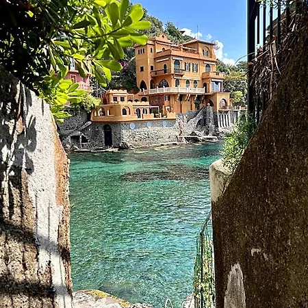 Ladidi