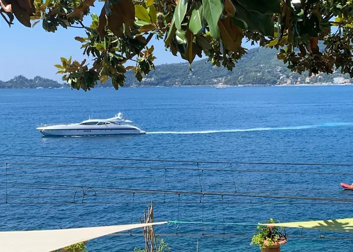 B&B Ladidi 라팔로